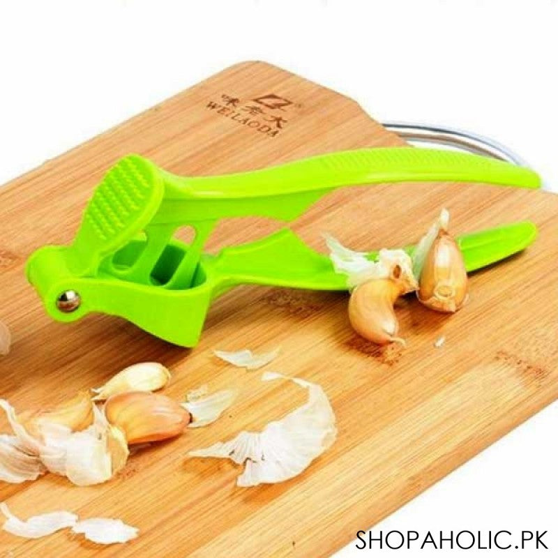 Handy Garlic Press Pounder