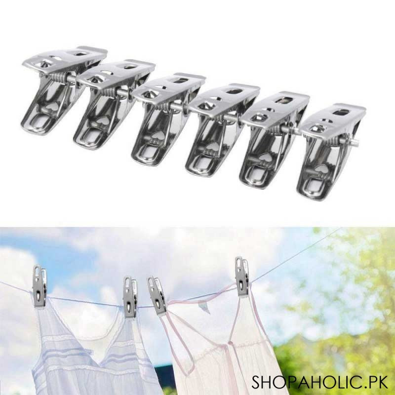 12 Pegs Stainless Steel Clothes Clips